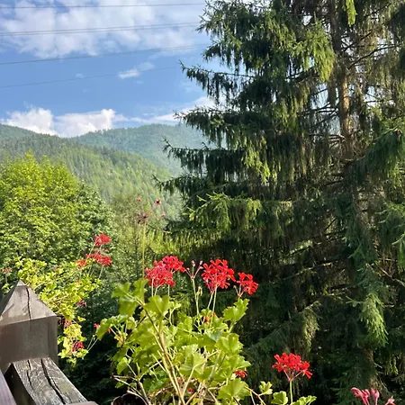 Jazierce Domek alpejski *